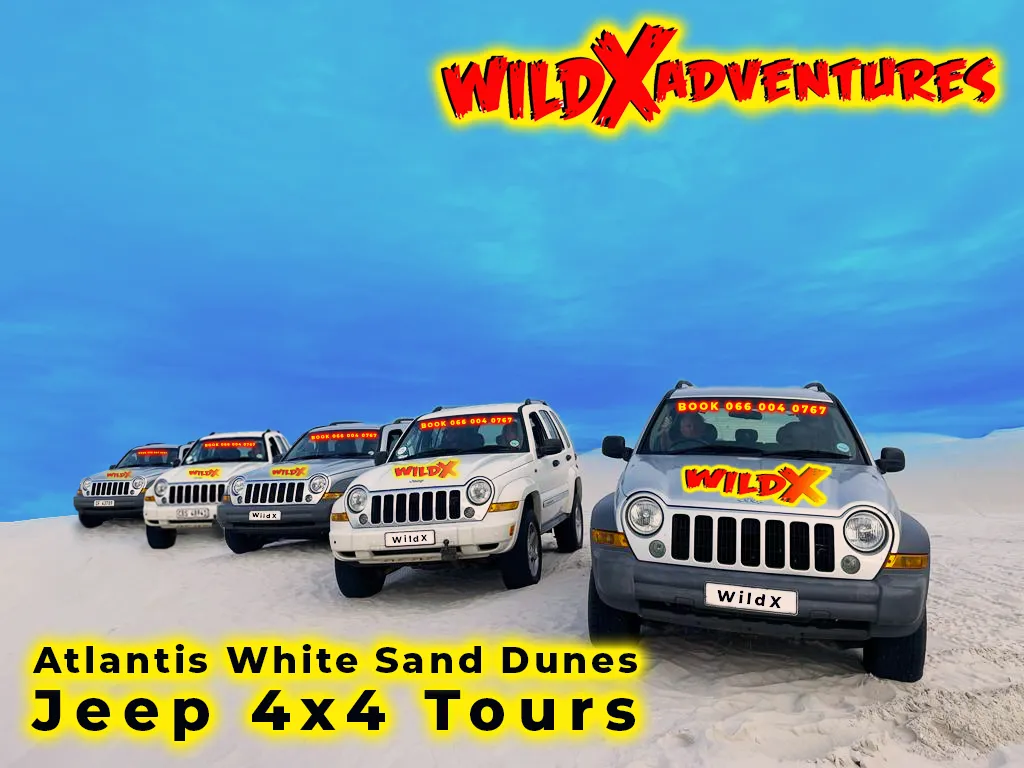 Activity Combo: Jeep 4x4 Experience & Glam Sandboarding for 1, 2, 4 or 6