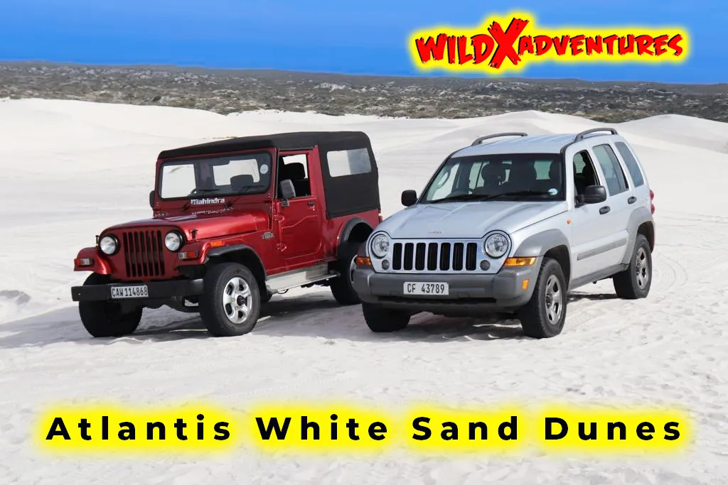 Activity Combo: Jeep 4x4 Experience & Glam Sandboarding for 1, 2, 4 or 6