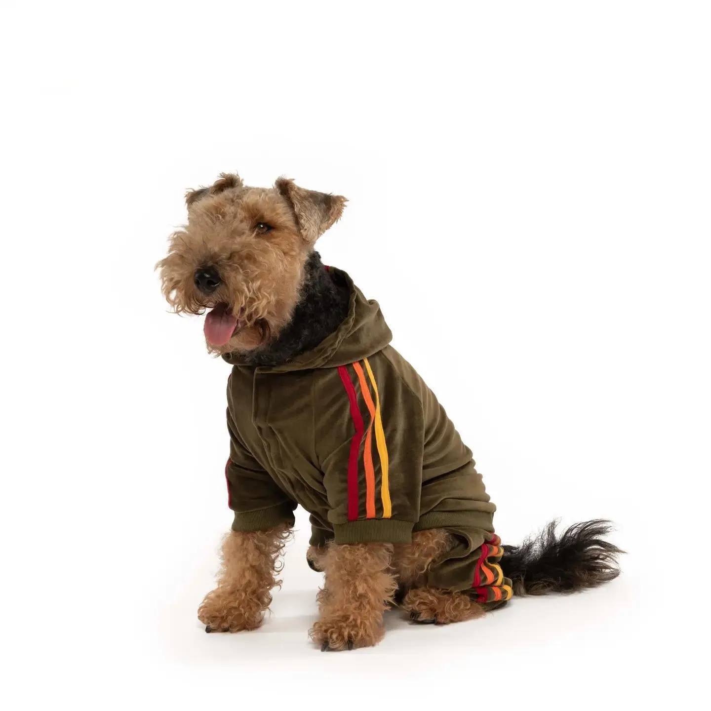 Velour Dog Suit