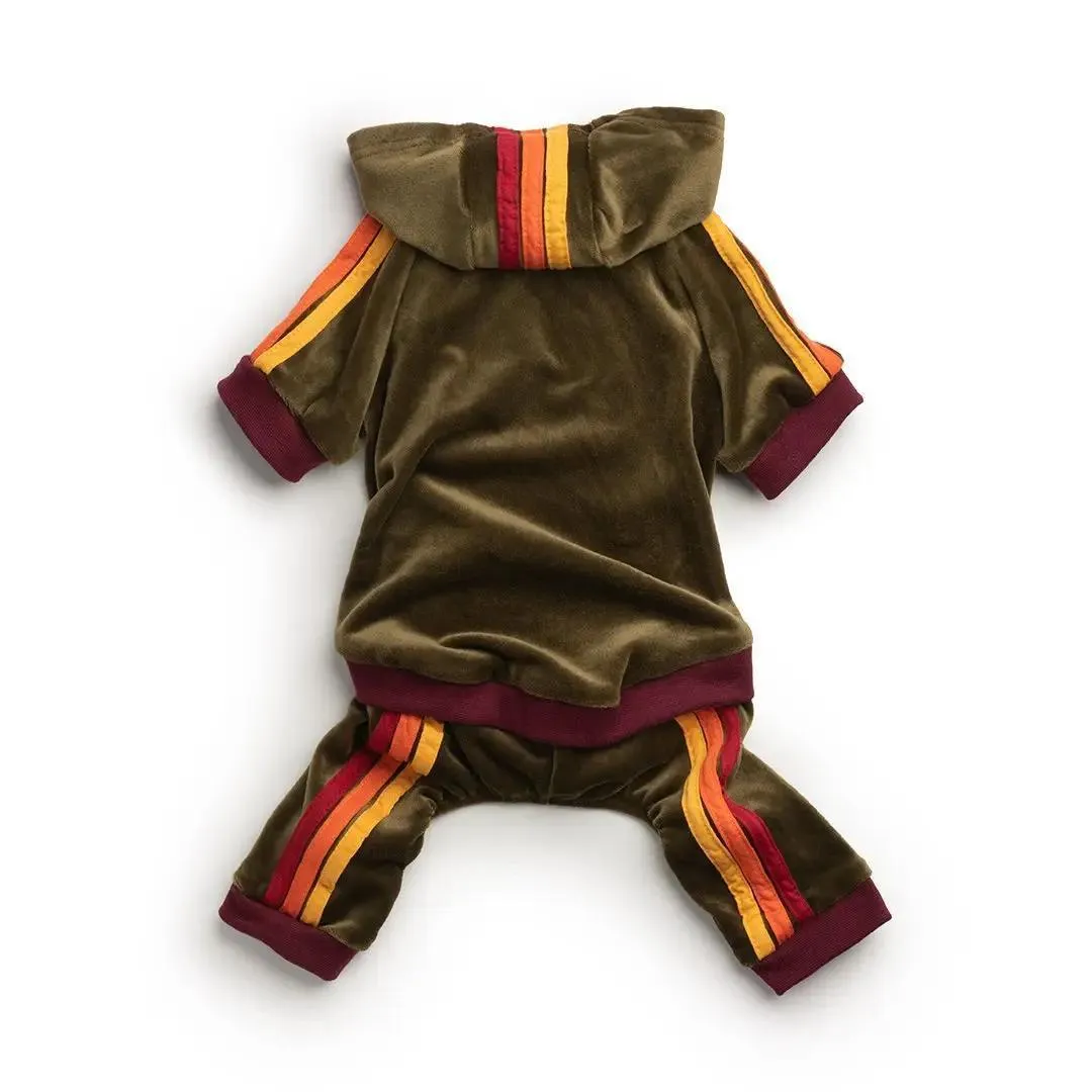 Velour Dog Suit